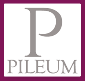 Pileum