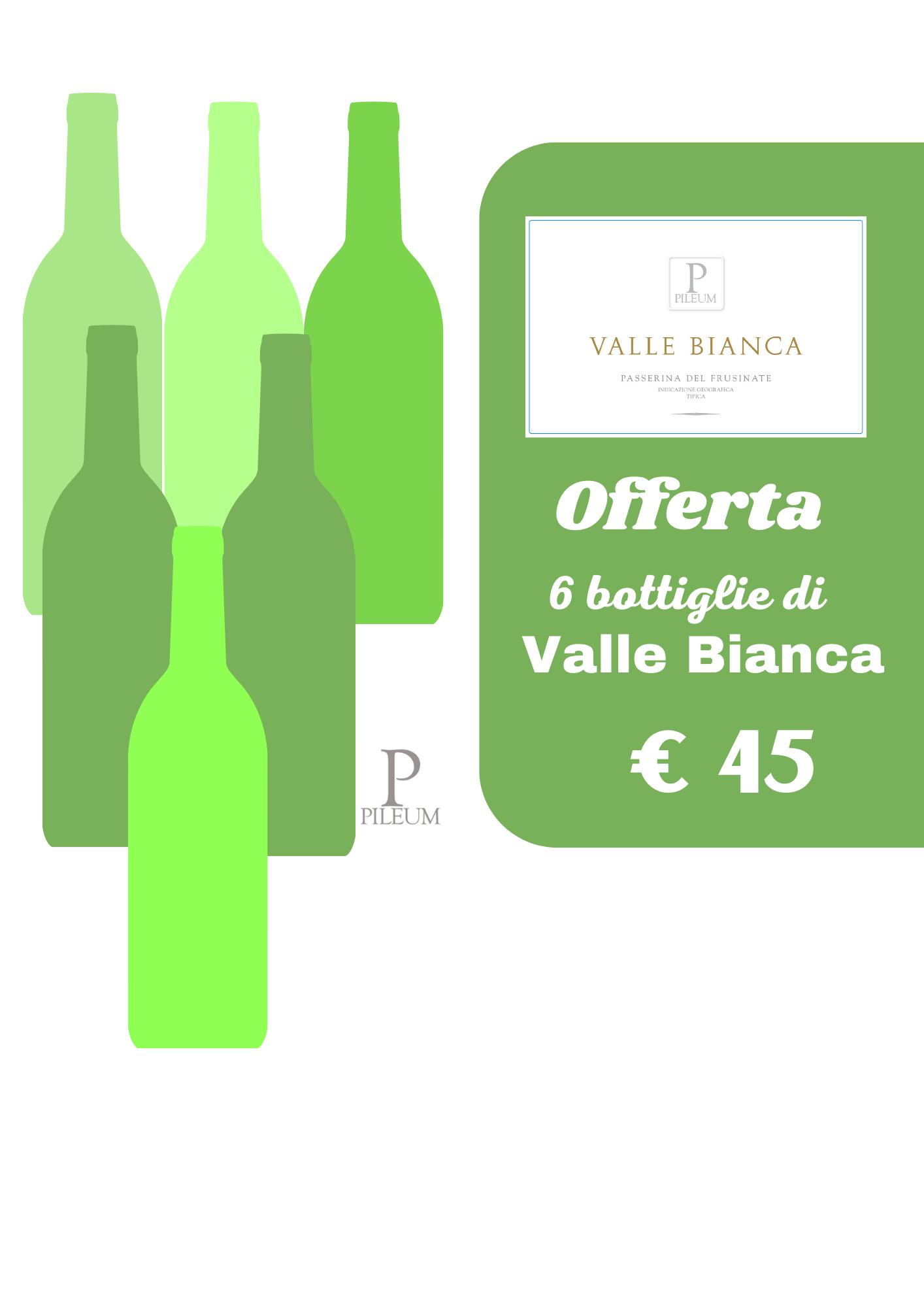 Offerta vini Valle Bianca PIleum