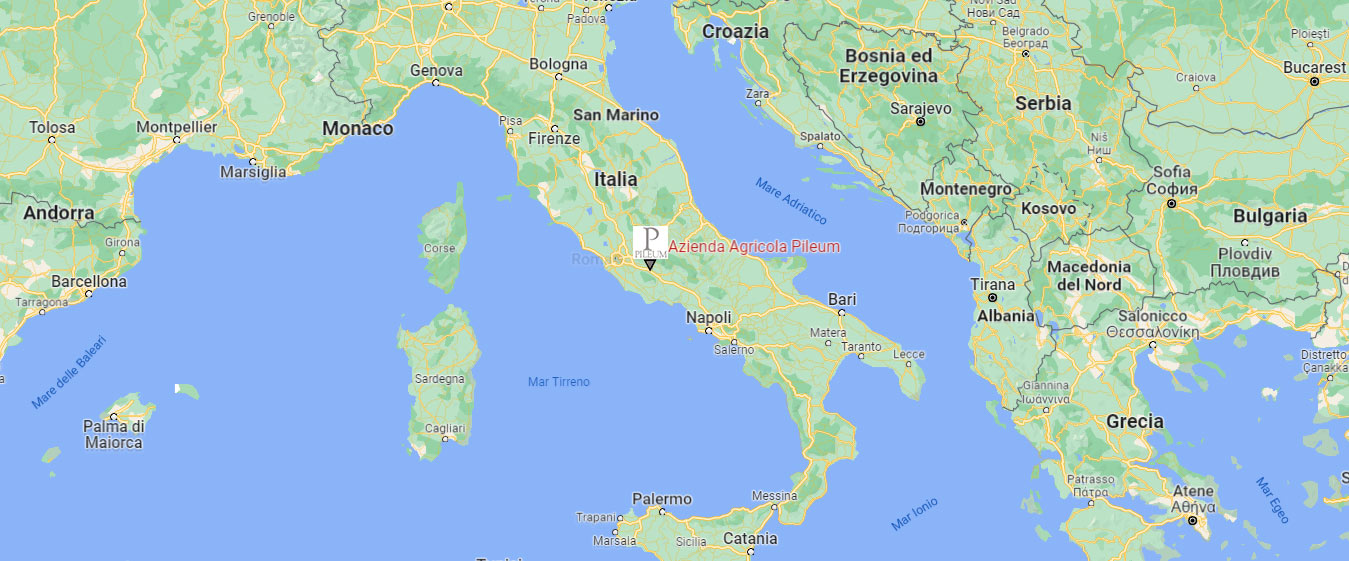 Mappa Google Azienda Agricola Pileum